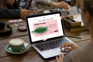web design and development